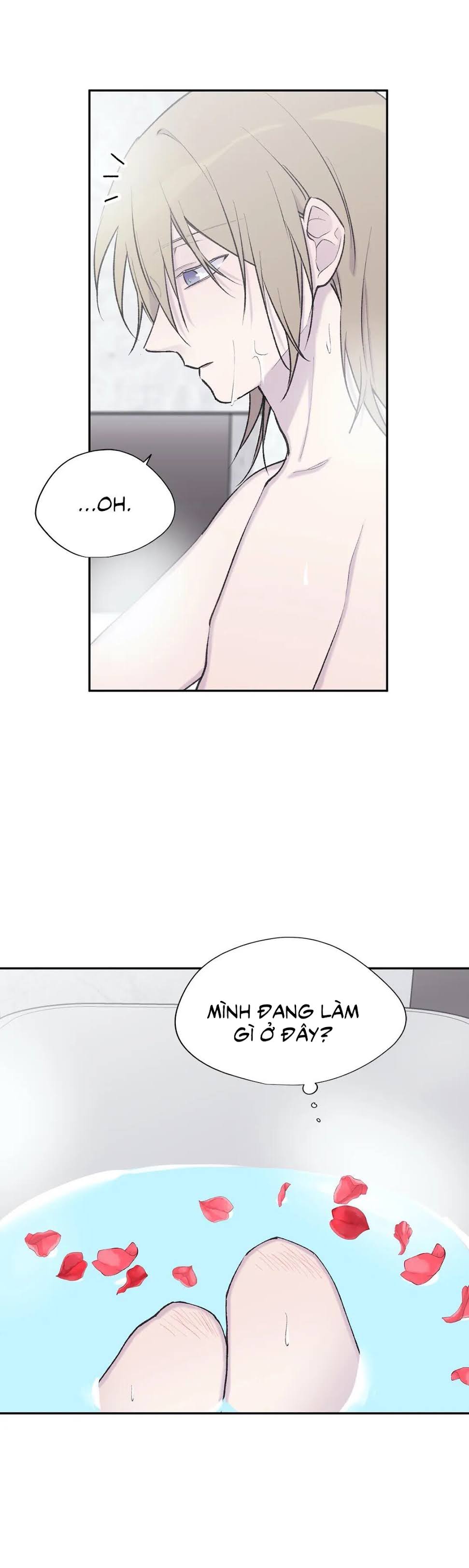 đừng viết nữa, tác giả thân mến! chapter 48 41