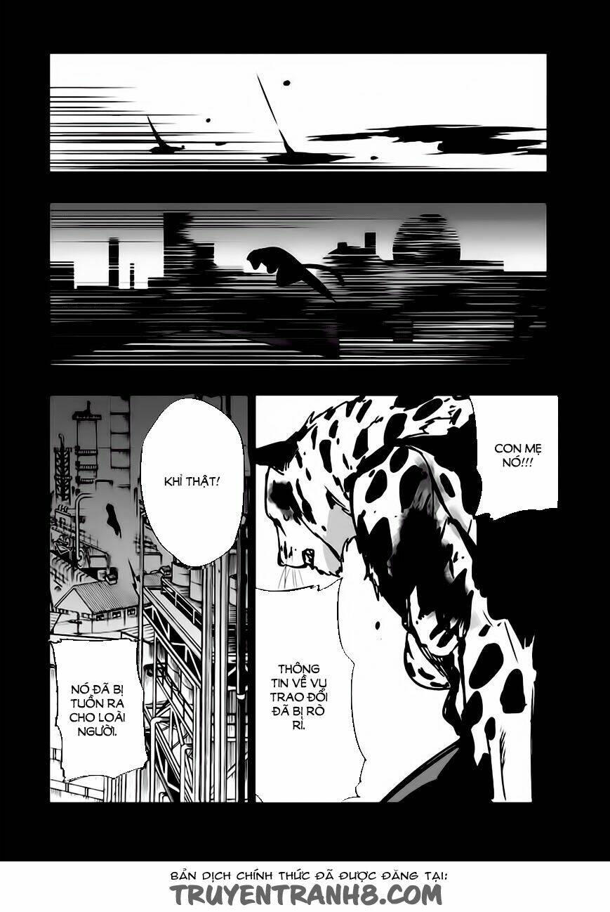 strike the blood chapter 14 5