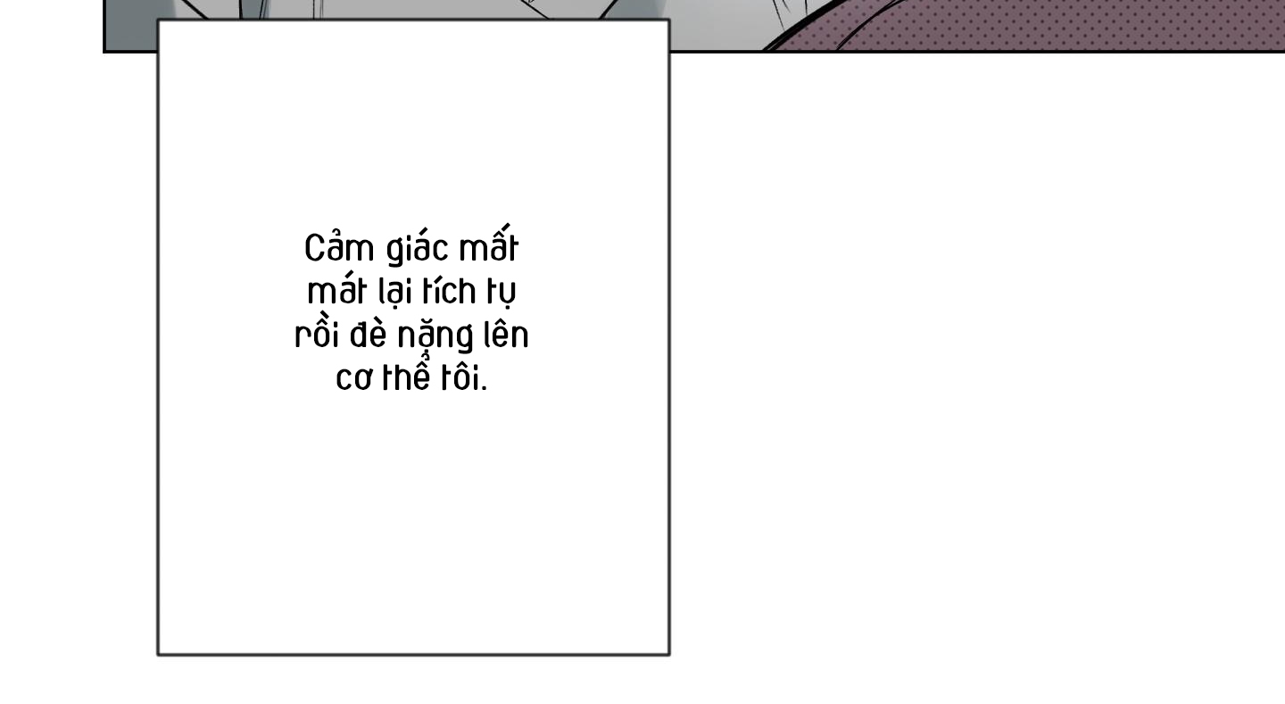 định rõ mối quan hệ chapter 56 97