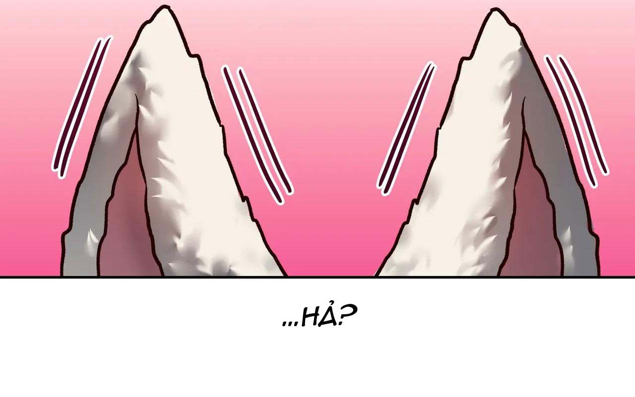 bài học về ngực của quý ngài sextoy chapter 6 123