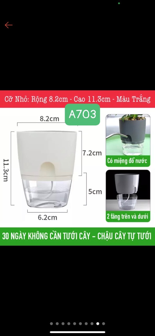 Chậu Trồng Cây Thuỷ Sinh Để Bàn - tự tưới nước cho cây. Trang trí văn phòng, bàn làm việc