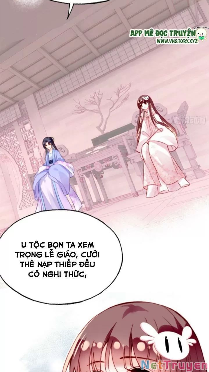 lại bị bệnh chiều chuộng quấn lấy chapter 29 34