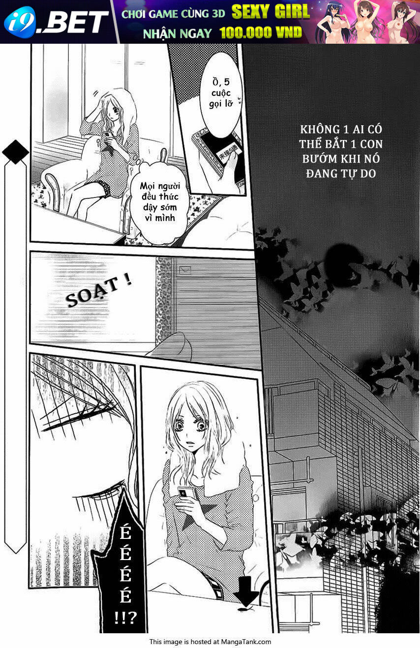 tổng hợp one shot. chapter 333 4