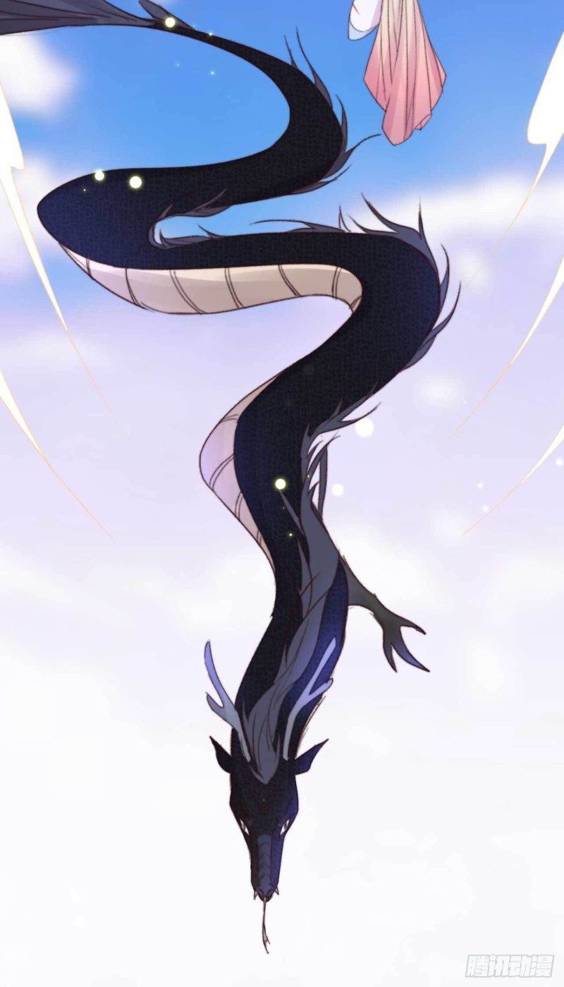 đế tôn cuồng sủng: thần y đặc công phế tài phi chapter 12 11