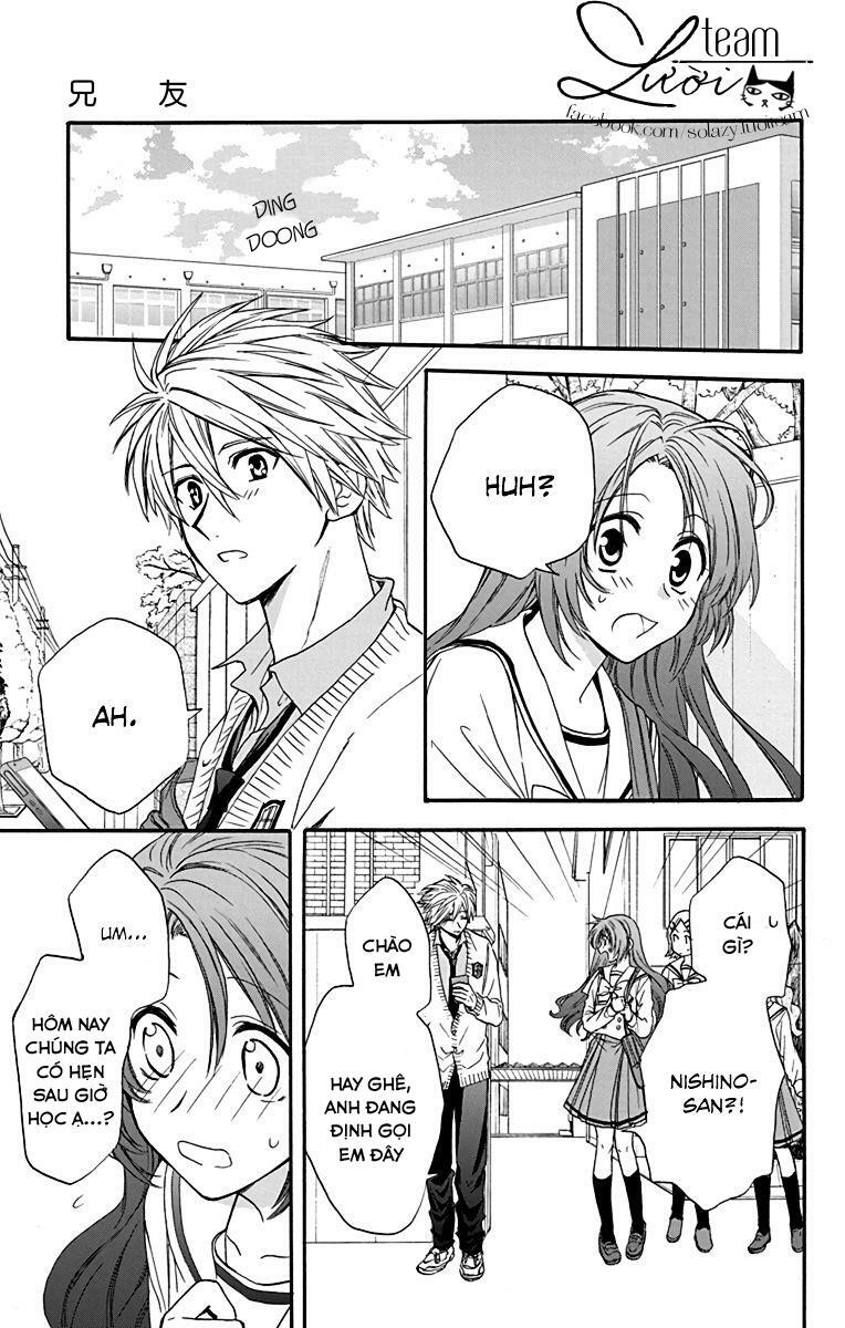 anitomo - bạn của anh trai tôi chapter 19 9