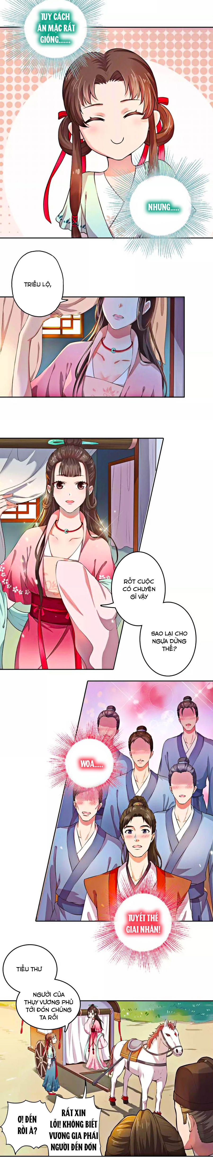 mỹ nhân già rồi chapter 1 11