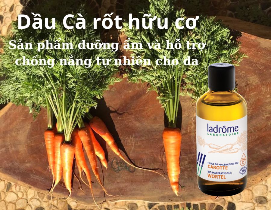 Dầu Cà rốt hữu cơ - Organic Carrot Oil