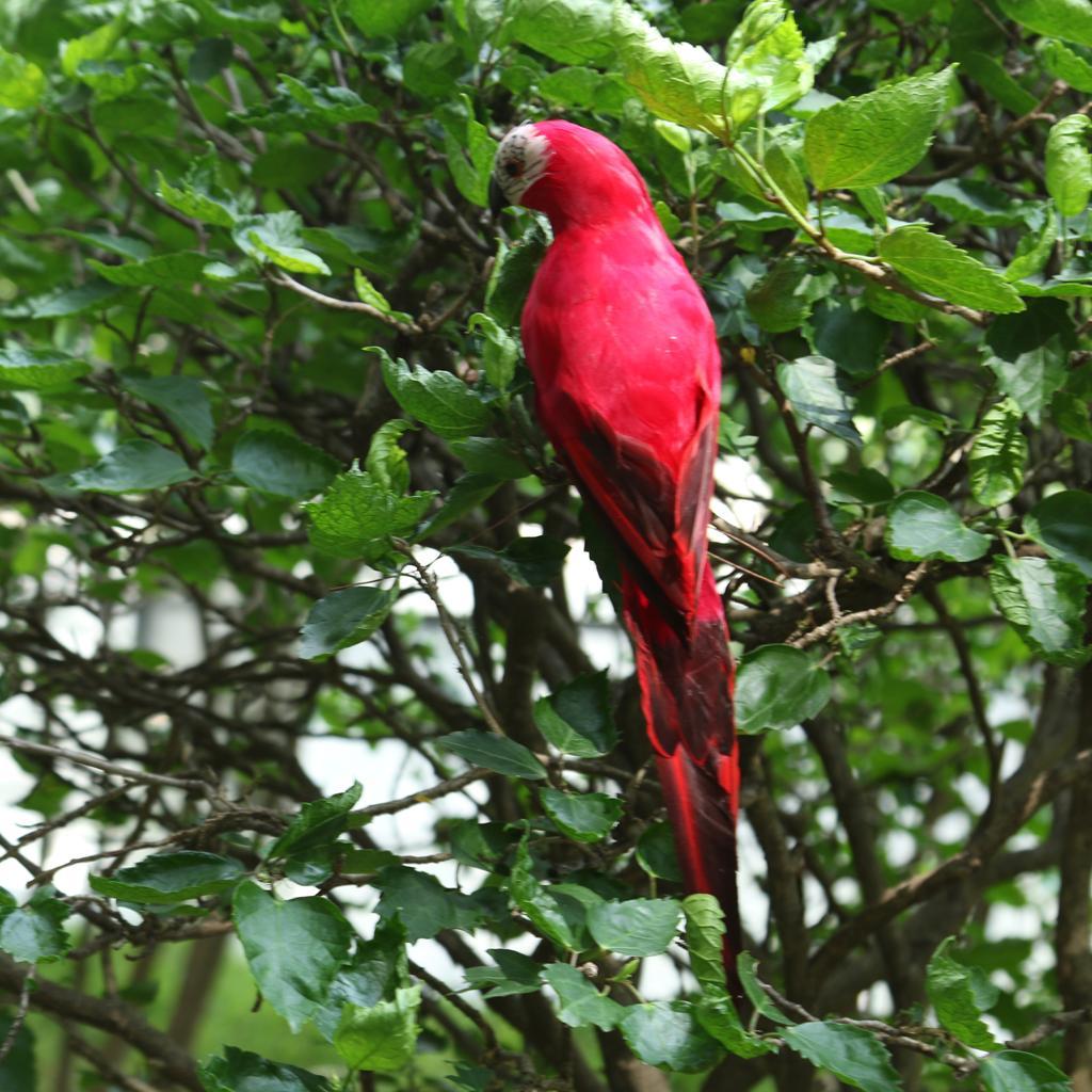 3 Parrot Statue Ornament Tree Standing Animal Sculpture Home Decor 35cm