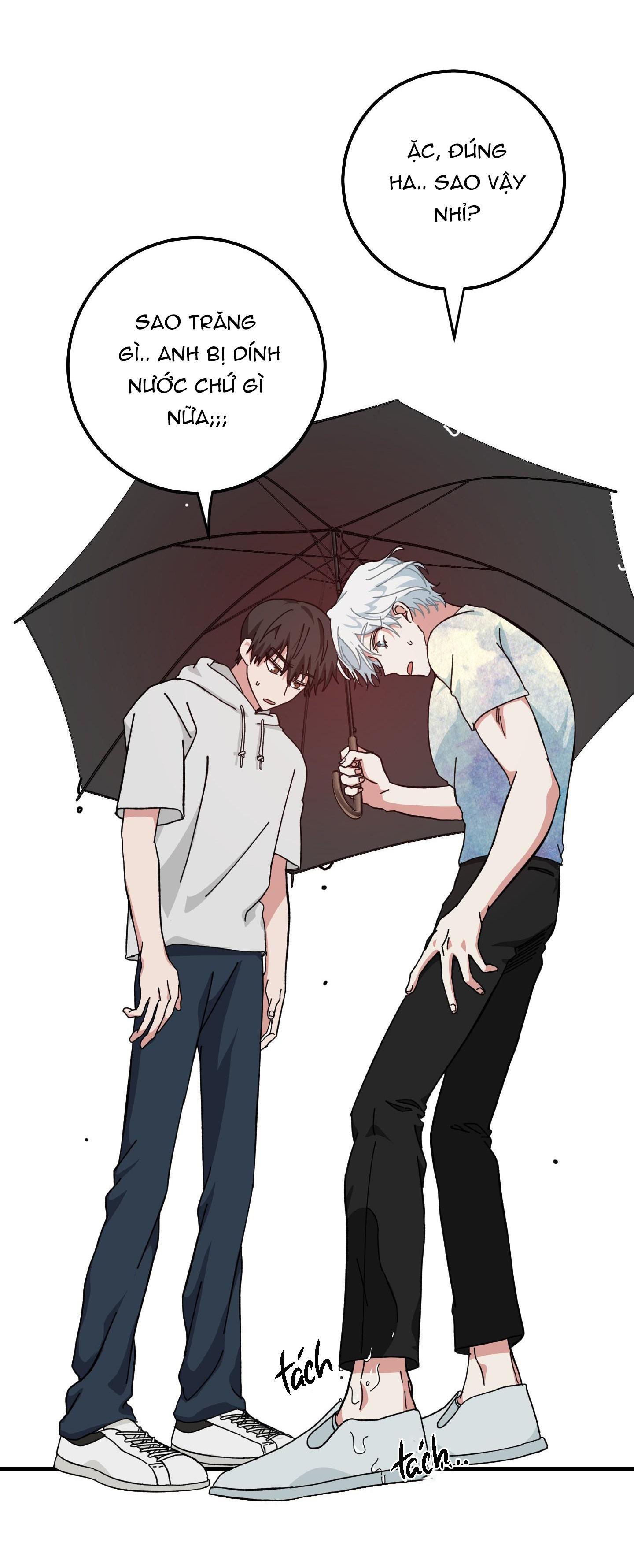 yêu tôi đi, thần hộ mệnh chapter 14 25