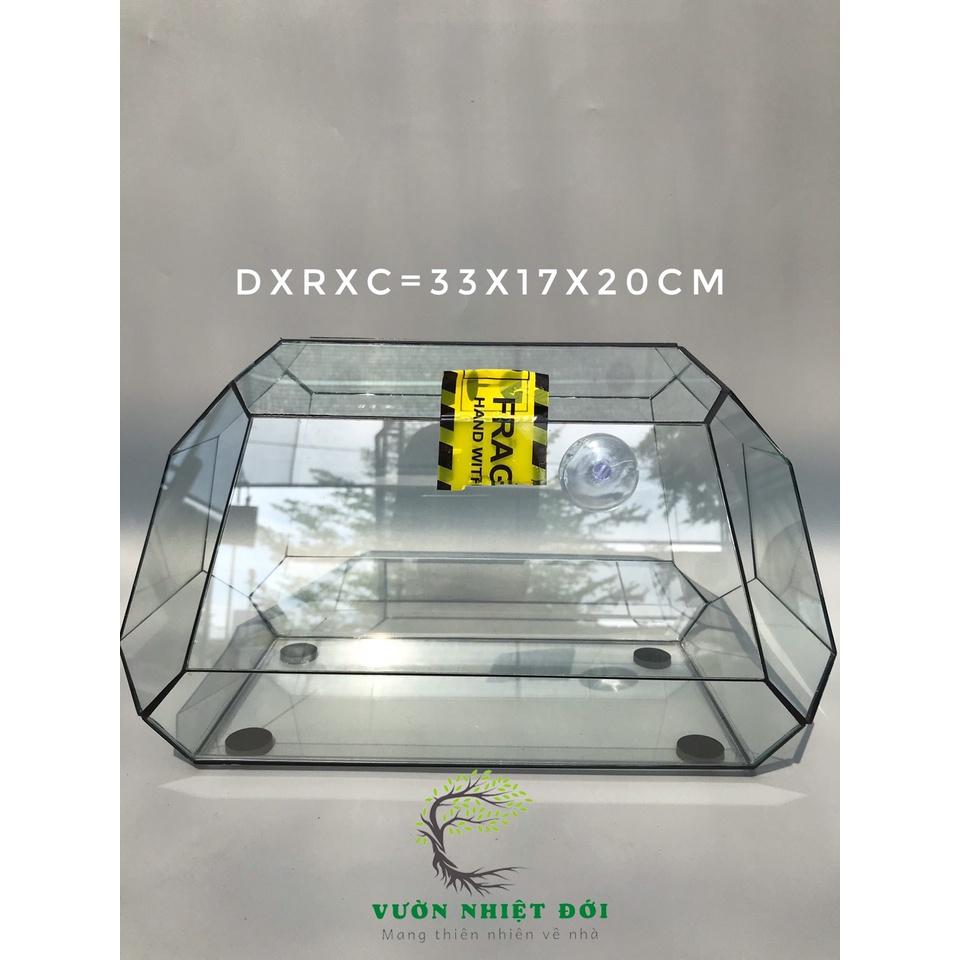Bể Terrarium Đa Giác Setup Bán Cạn Để Bàn Làm Việc Mở Được Cánh Cửa