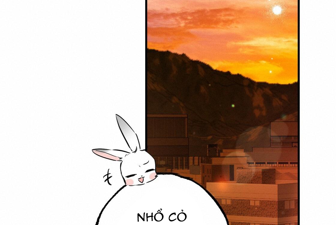 đàn thỏ của habibi chapter 24 254