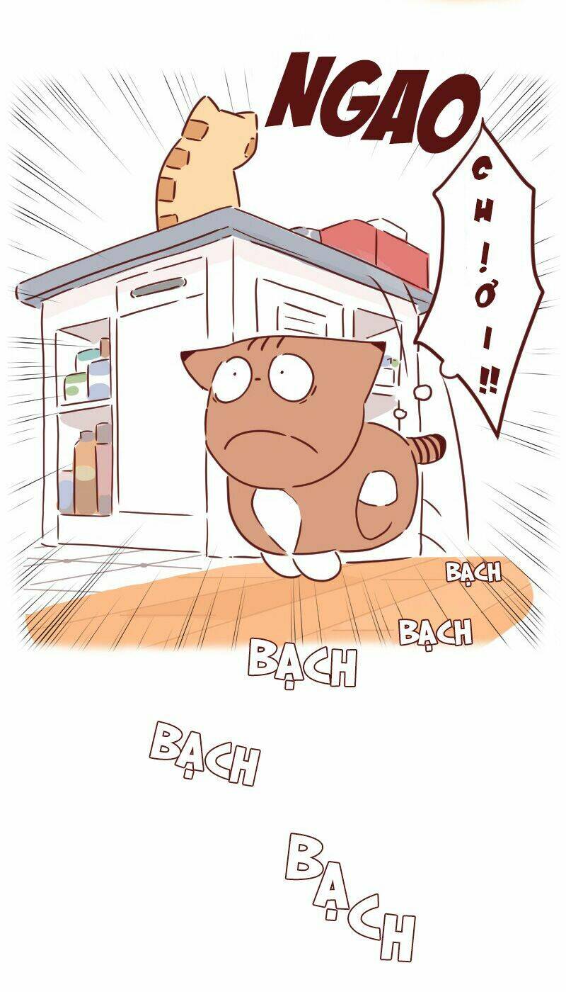 saphie: chú mèo một mắt chapter 29 7