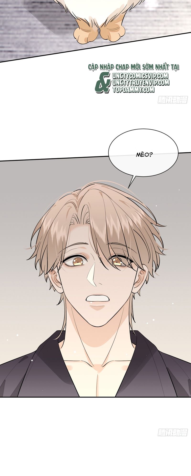 chó lớn bắt nạt chủ chapter 81 11