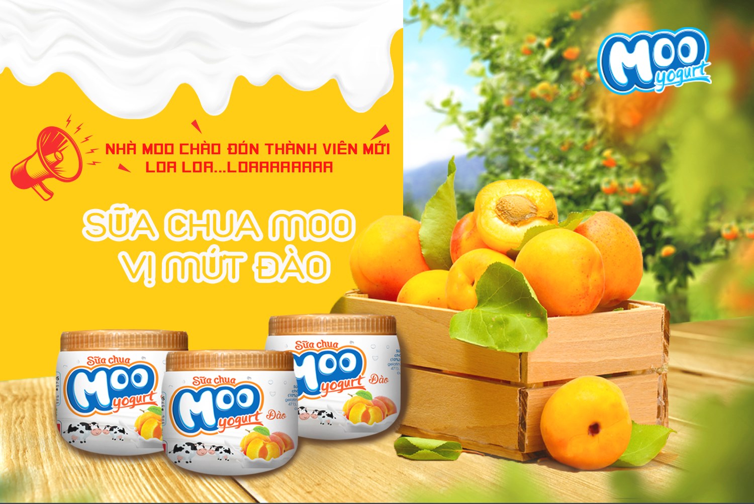 Combo 15 Hũ Sữa Chua Moo Vị Đào 180g