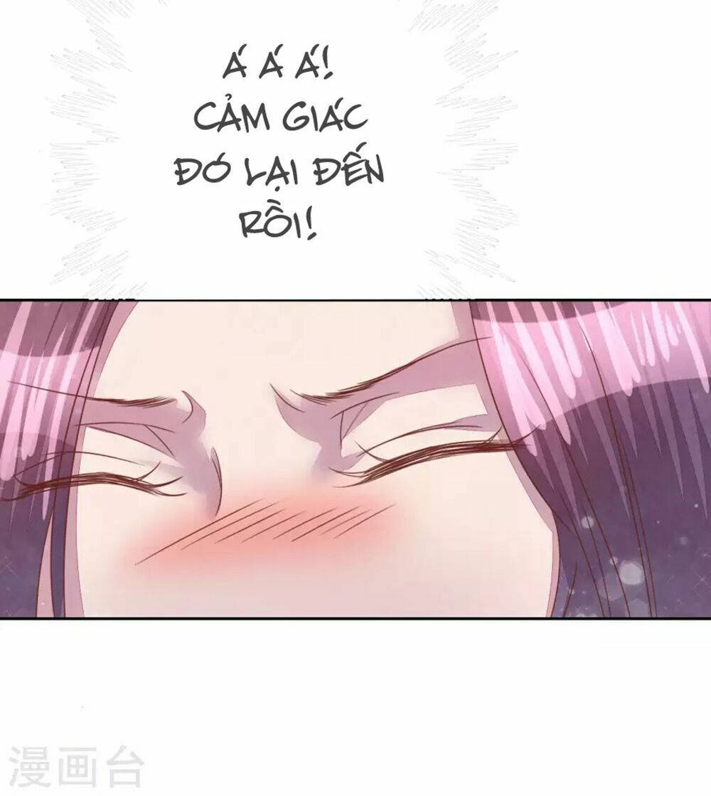 đào tạo nuôi dưỡng bạn trai mèo chapter 41 36