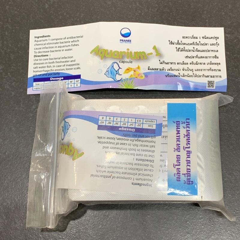 Viên AQUARIUM-1 Thái Lan xử lý tép, cá chết lai rai - phụ kiện tép cảnh - thủy sinh - shopleo