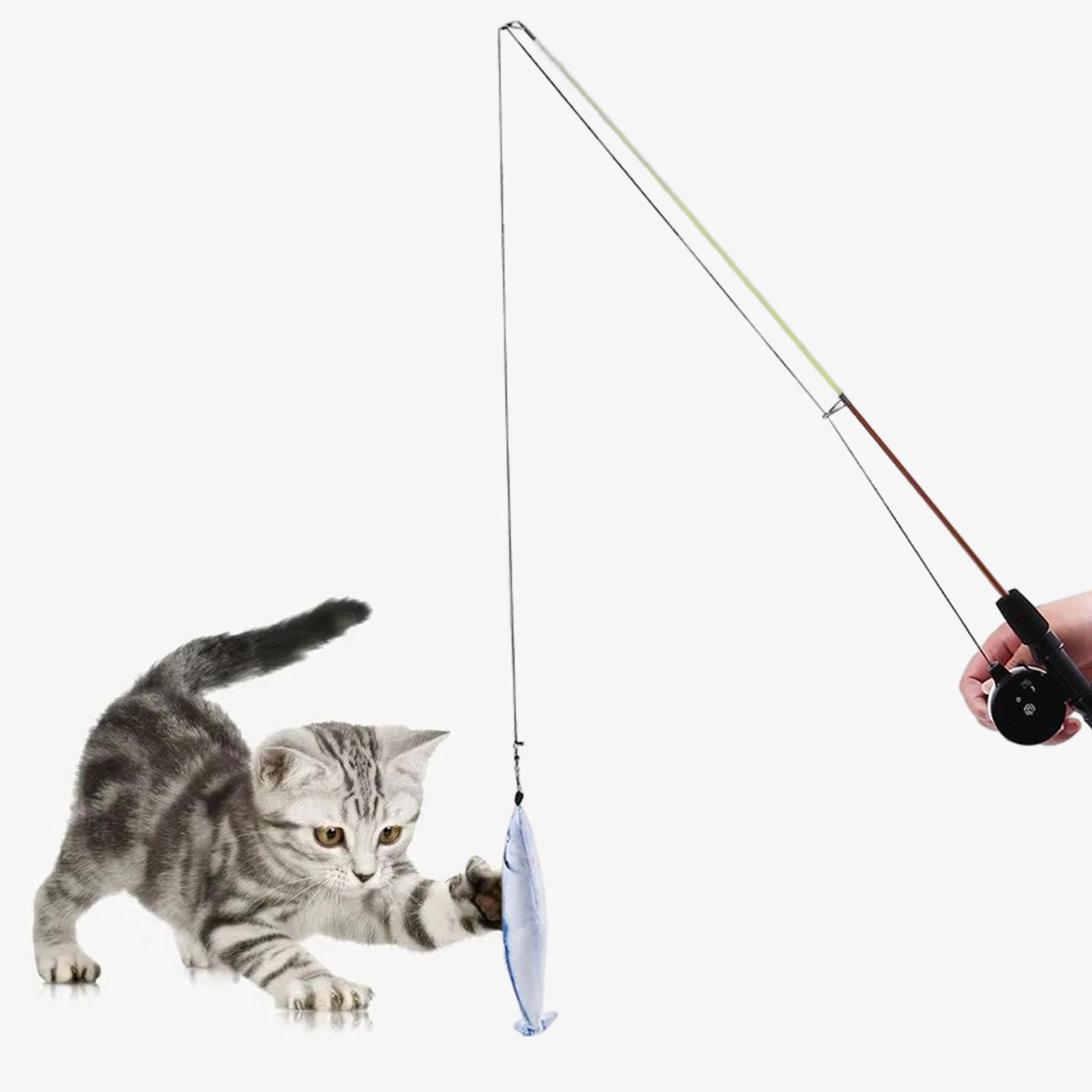 Cat Teaser  Interactive Cat Toys Training Exercise for Pet Supplies