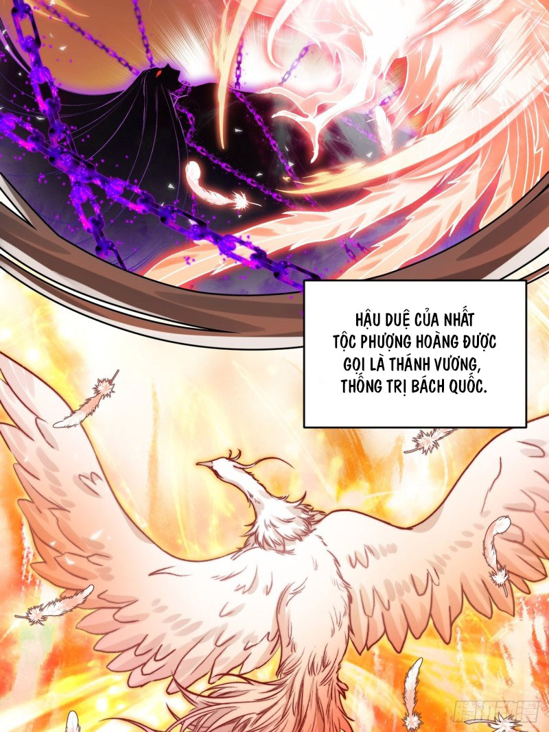 lễ băng nhạc hoại chi dạ chapter 26 32