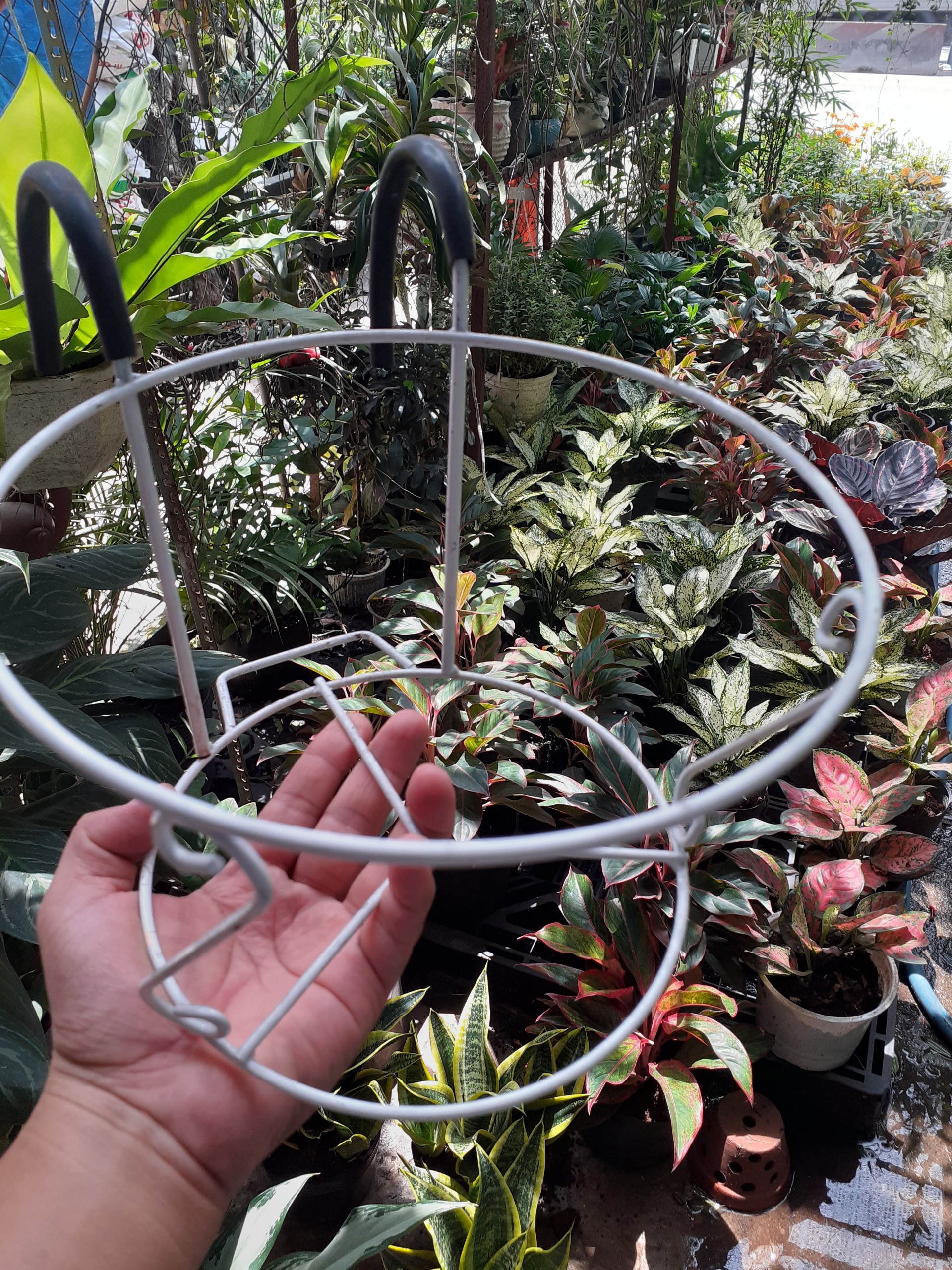 Rọ mốc treo chậu trồng lan can.