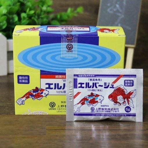 TETRA NHẬT GÓI 5G - P H Ò NG VÀ T.R. Ị B. Ệ. N.H -HỖ TRỢ CÁ KHỎE LONG THÀNH CÁ CẢNH