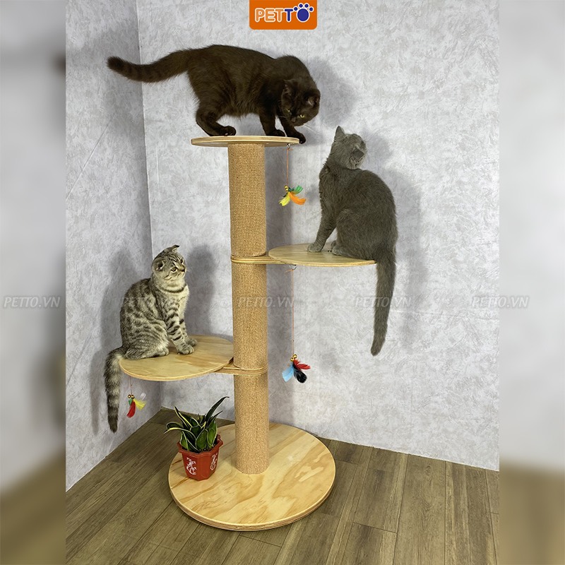 Cat tree - Trụ cào móng cho mèo bằng gỗ nhiều tầng độc đáo sử dụng thảm POLY có độ bền cao CT046