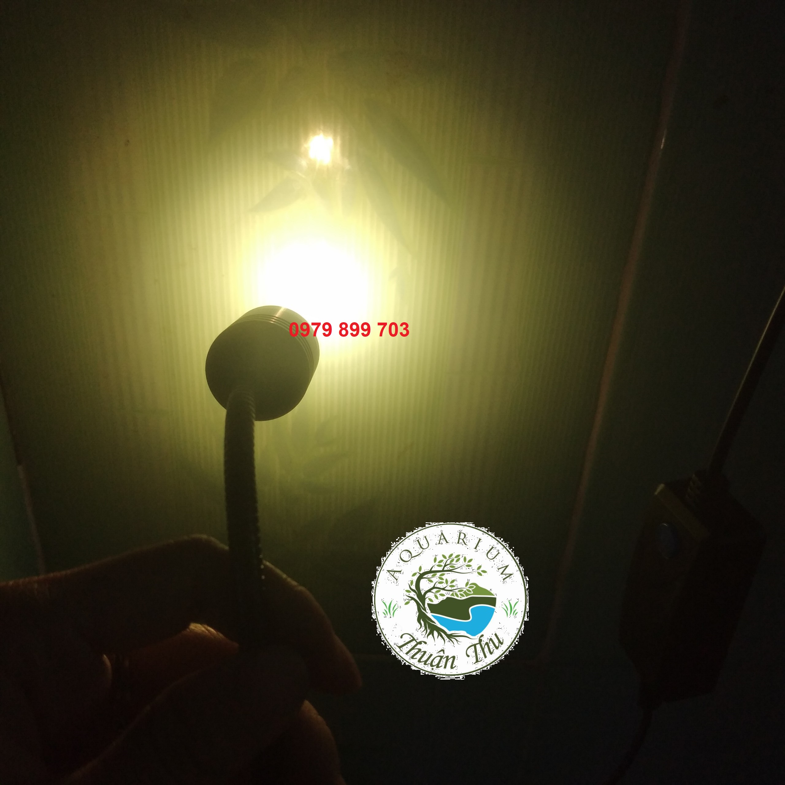 Đèn Rọi mini KK-F05 - Led Rọi Cho Bể Cá Mini ánh sáng trắng vàng