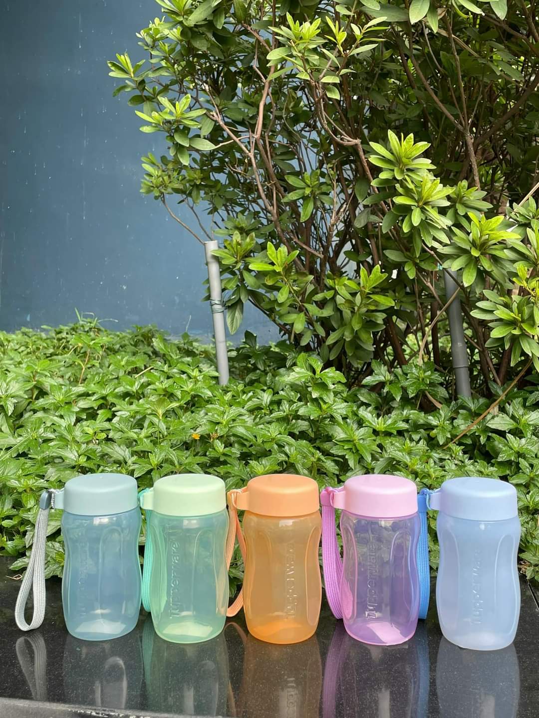 Bình nước Eco Bottle Gen II Nắp Vặn 310ml - Tupperware chính hãng - kín khí kín nước