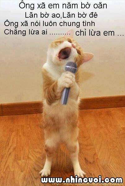 hình ảnh hài hước new chapter 5 14