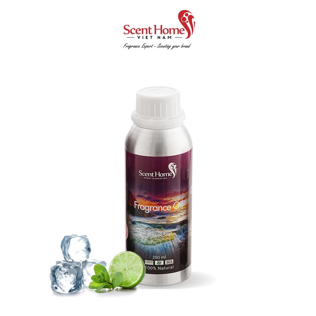 Tinh dầu Scent Homes - mùi hương
