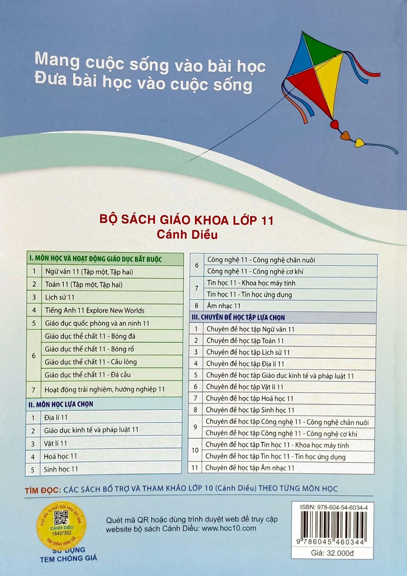 Bài Tập Tin Học 11 - Tin Học Ứng Dụng (Cánh Diều) (2023)