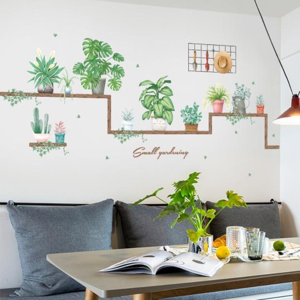 Decal trang trí tường - Kệ gỗ cùng những chậu cây xinh