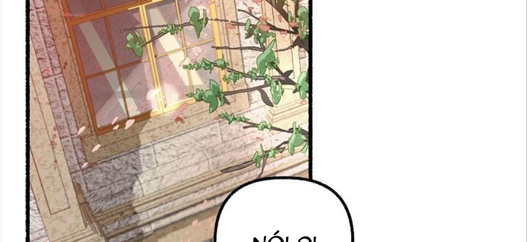 hoa triều chapter 25 167