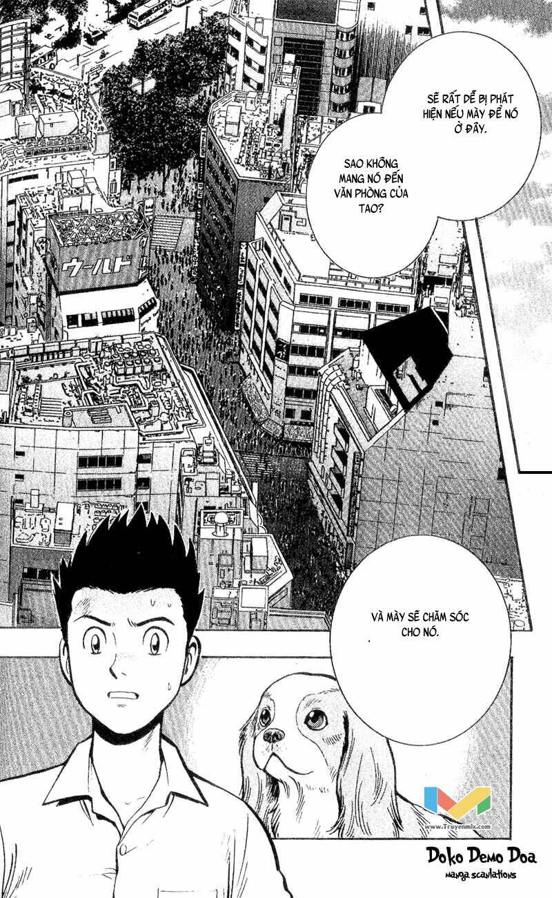 animal sense chapter 3 10