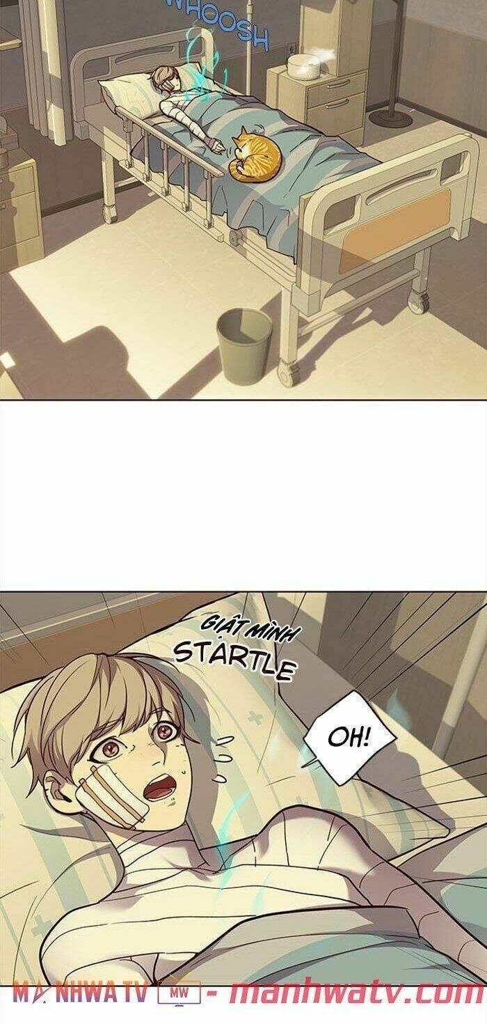 biến thân thành mèo chapter 30 5