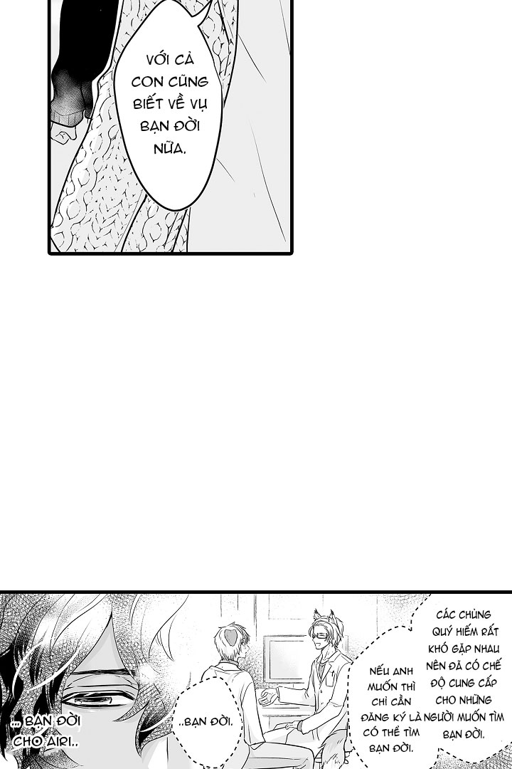 gấu ngủ đông chapter 4.2 4