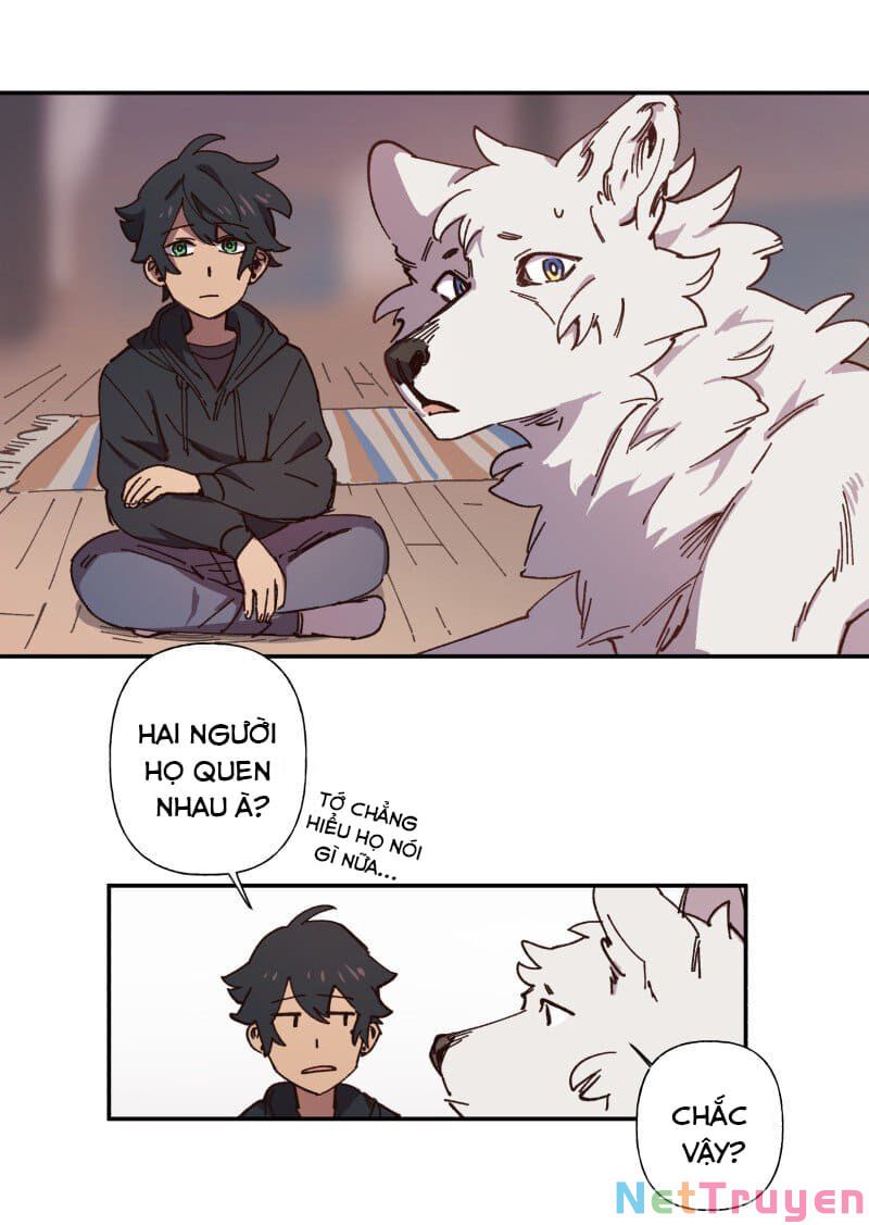 lumine - cội nguồn ánh sáng chapter 83 16