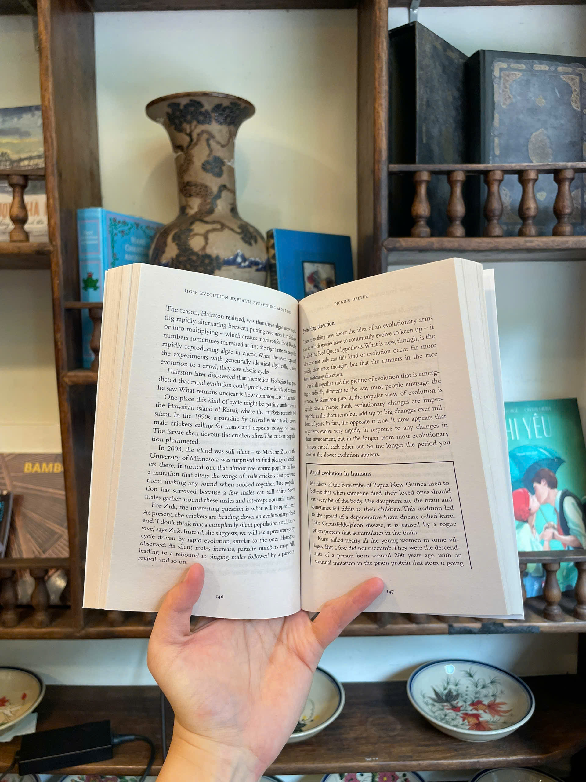 Sách - New Scientist - instant Expert: How Evolution Explains Everything about Life