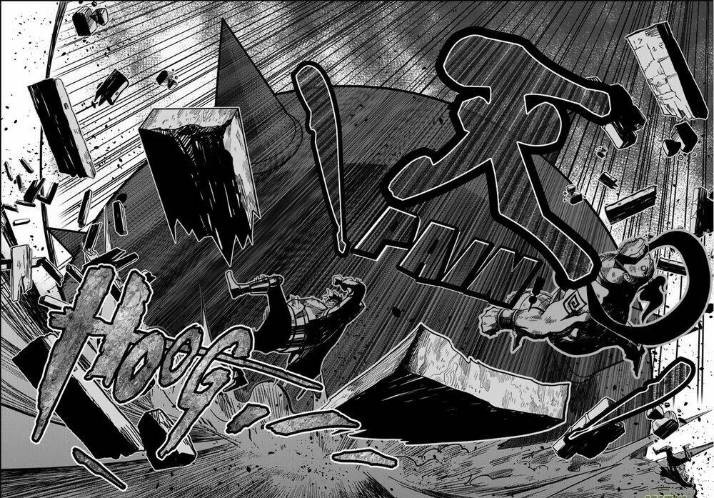 macrophage regulation chapter 3 20