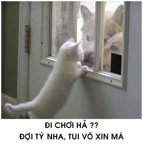 tấm cám phiên bản mèo chapter 1 1