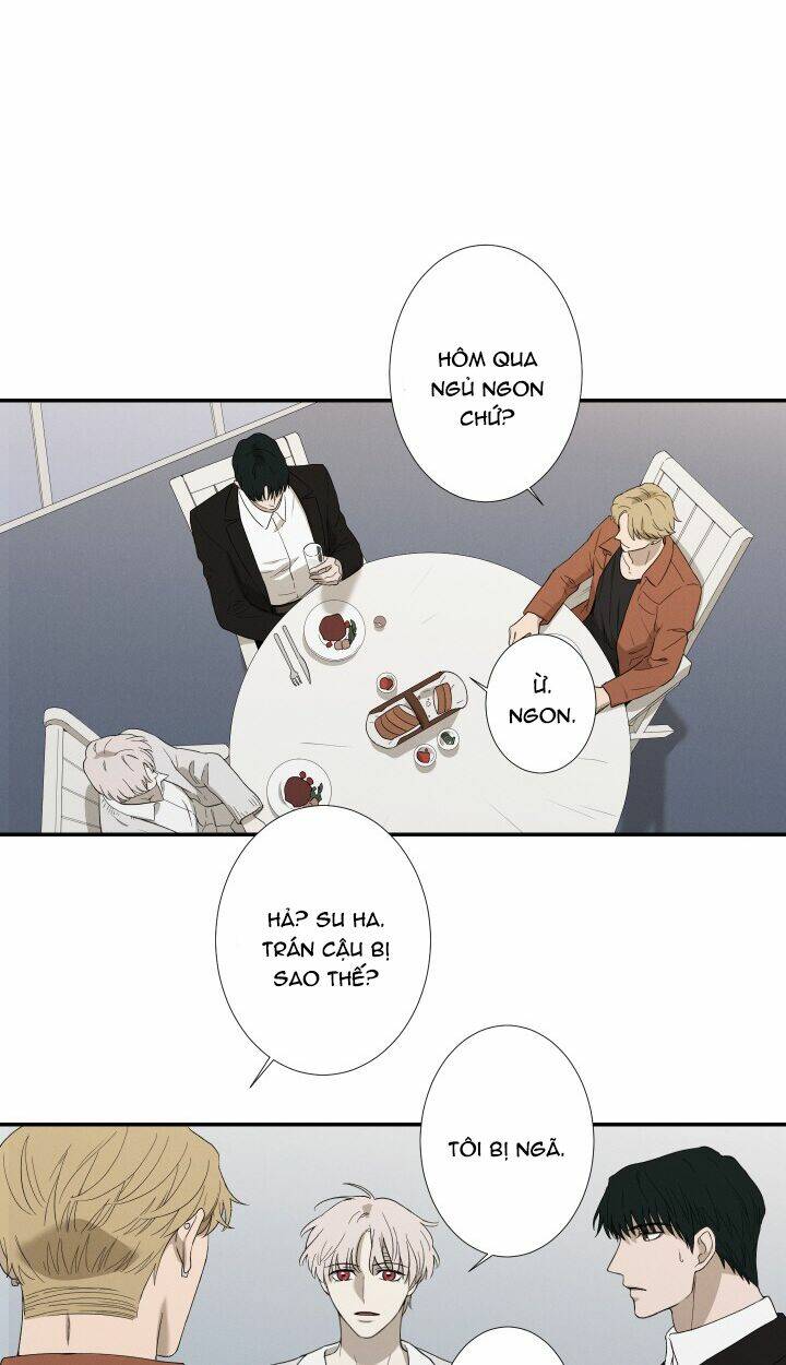 trốn tìm chapter 26 20