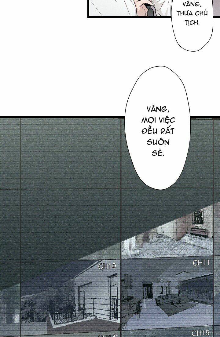 trốn tìm chapter 2 10