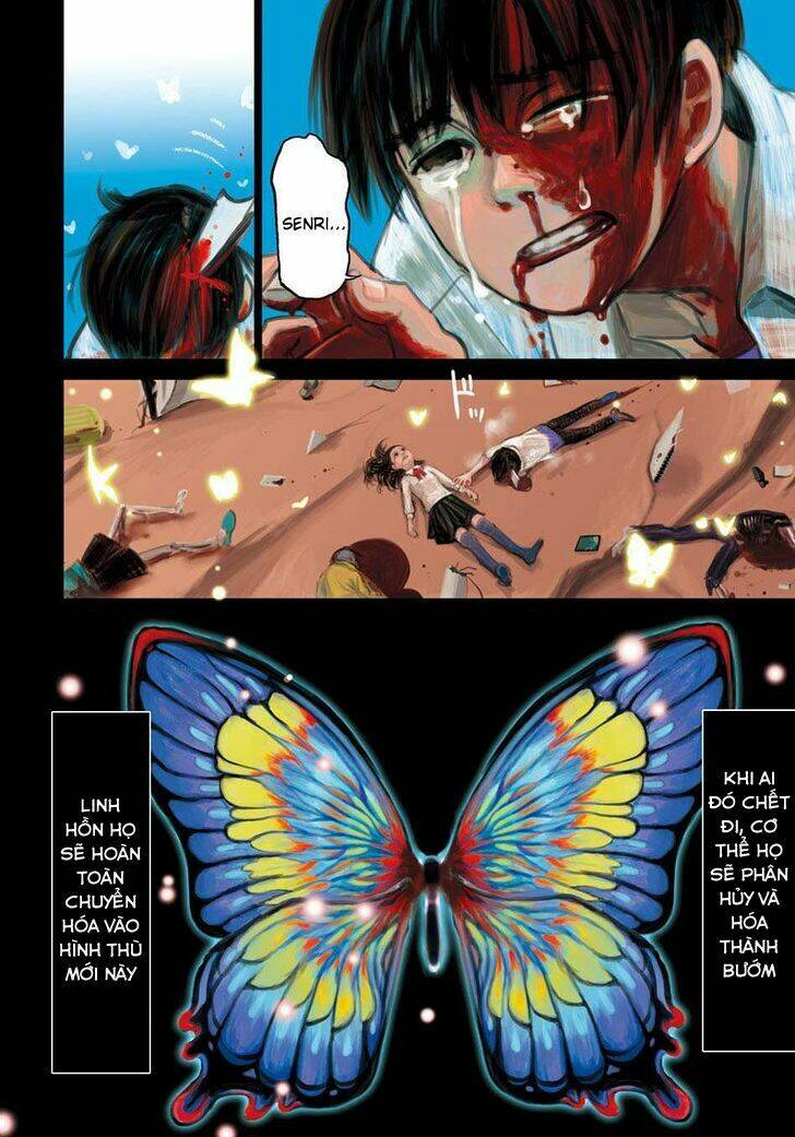 butterfly storage chapter 1 5