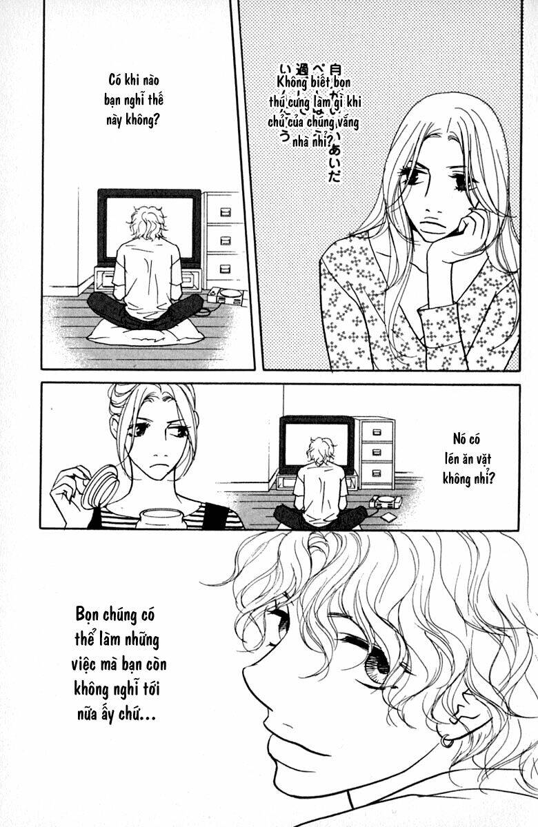 kimi wa petto chapter 14 2