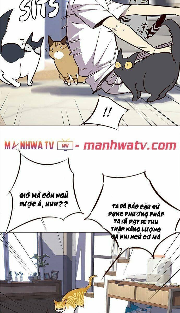 biến thân thành mèo chapter 21 68