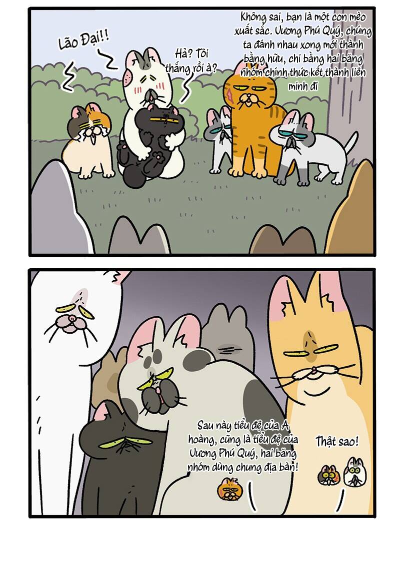 a mãn và mạch trà chapter 43.1 4