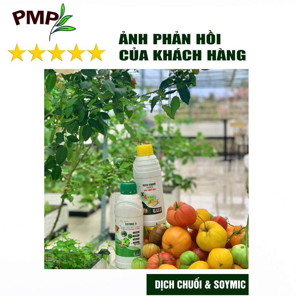 Combo Phân Đậu Nành Soymic V - Dịch Chuối Cho Rau Sạch