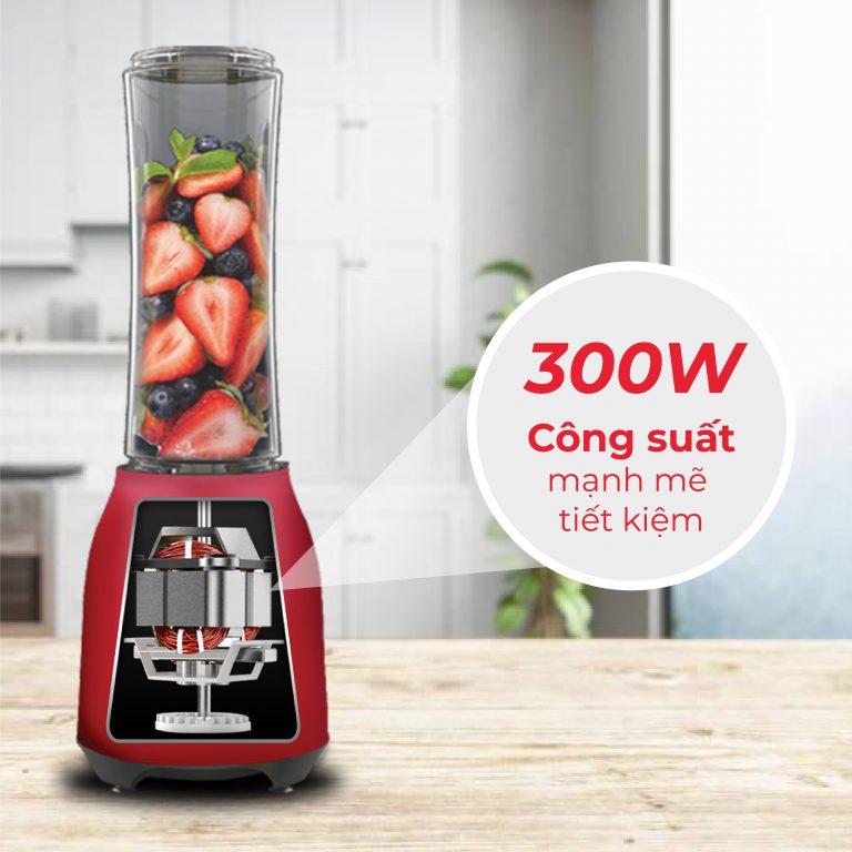 Máy xay sinh tố Rapido RB-300M - Hàng chính hãng