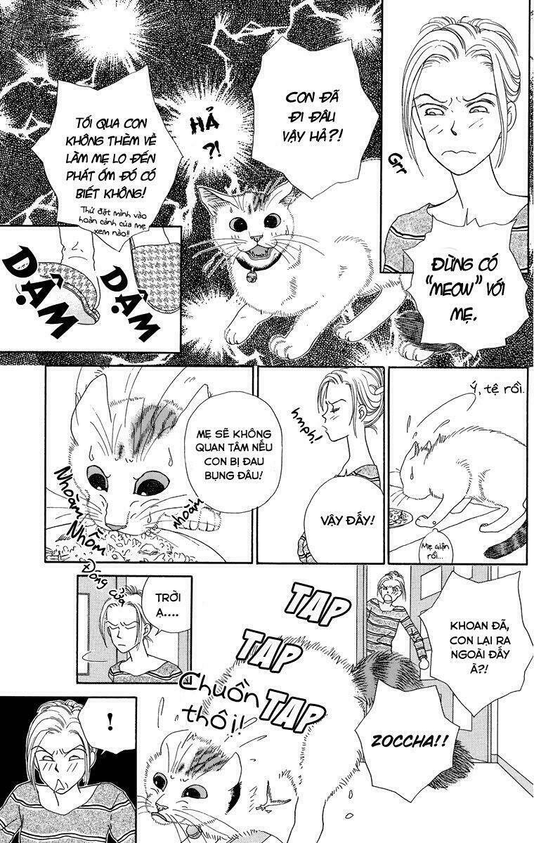 cuộc sống thường nhật của mèo zaccho chapter 1 7