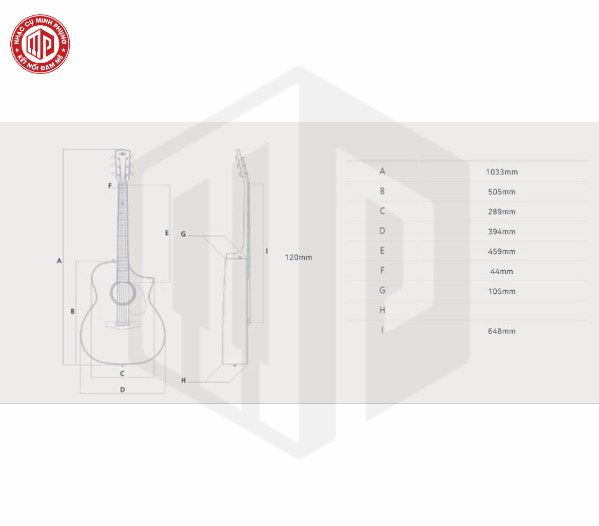 Đàn Guitar Acoustic - HEX D100CE - Hive Series - Size Grand Auditorium - EQ Fishman Sonitone GT2 - Hàng chính hãng