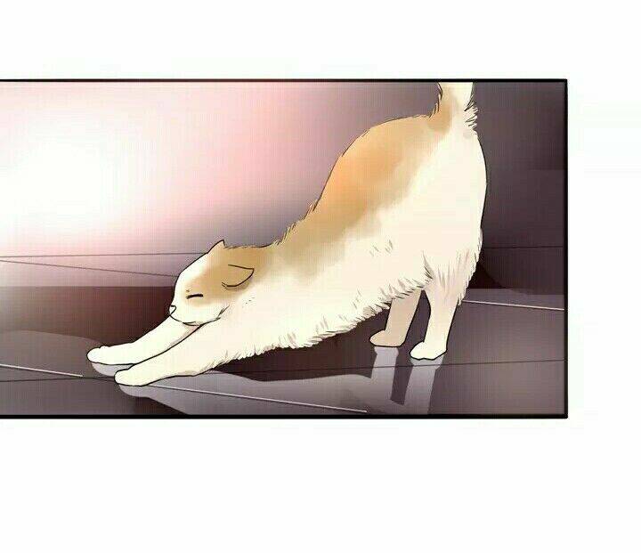 chào buổi sáng, hướng dương chapter 6 45